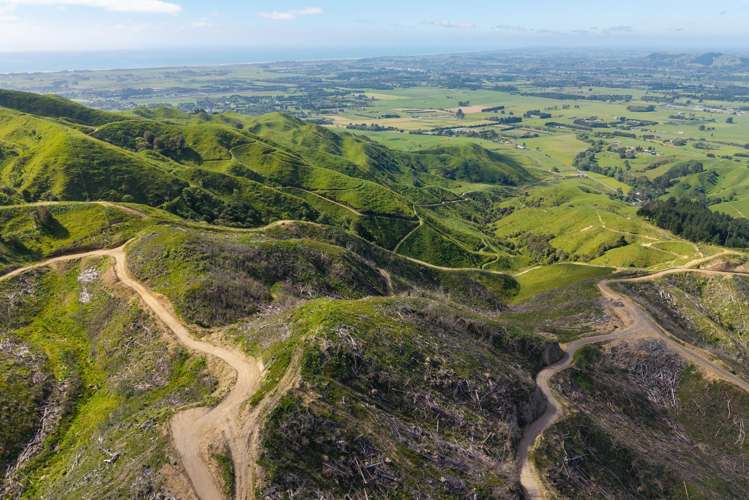 170 Mangaone North Road Te Horo_14