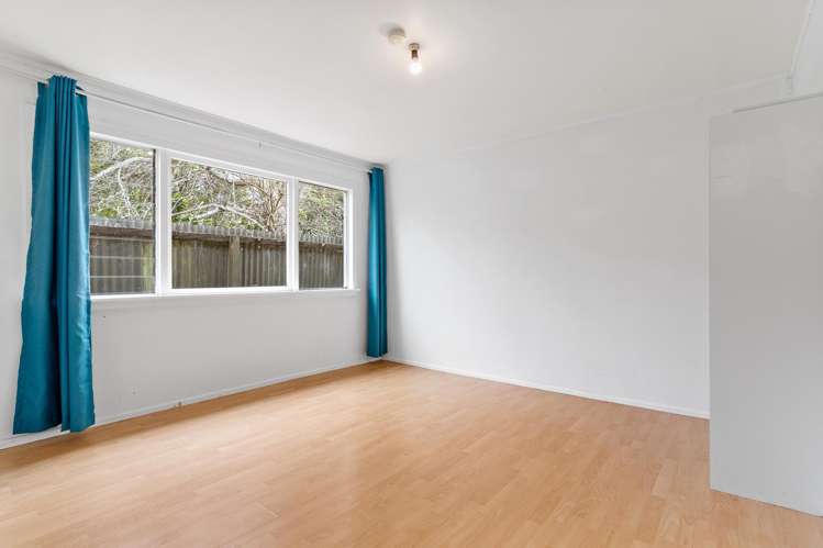 20 Prime Road Grey Lynn_12