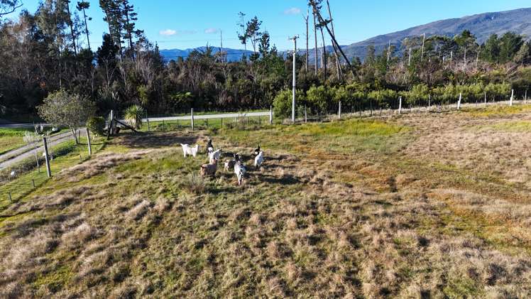 4/363 SHWY 67 Fairdown_18