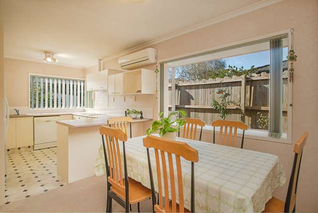 17 Medvale Avenue Flat Bush_4