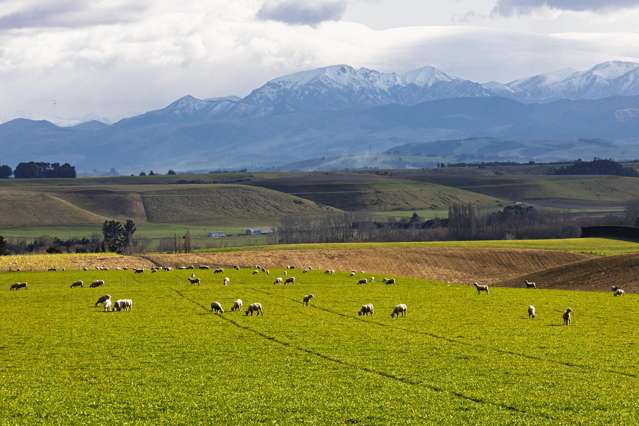 203 Robinson Road Cave_1