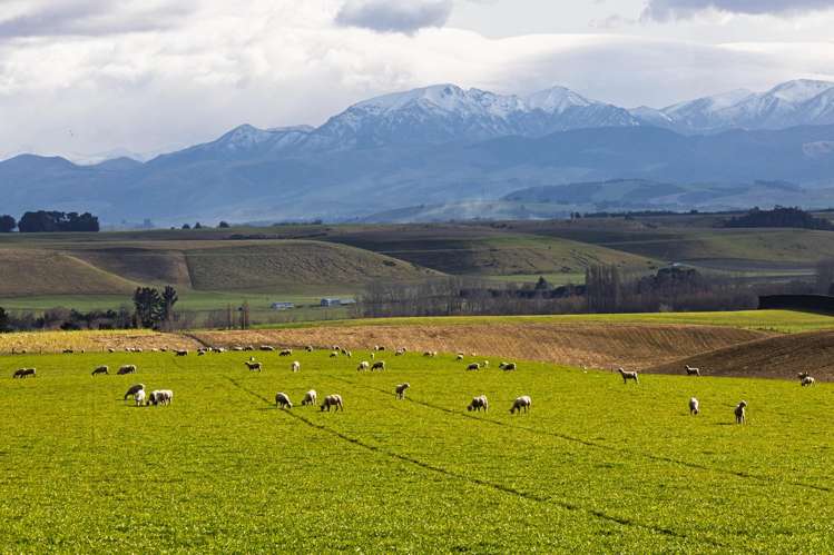 203 Robinson Road Cave_1