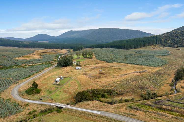 Tahakopa Valley Road Catlins Surrounds_3
