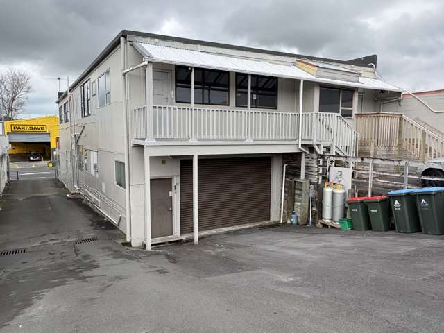 161-167 Apirana Avenue St Johns_2