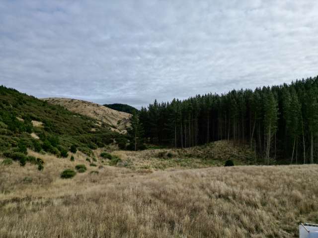 Boundary Creek Road Rosebery_1