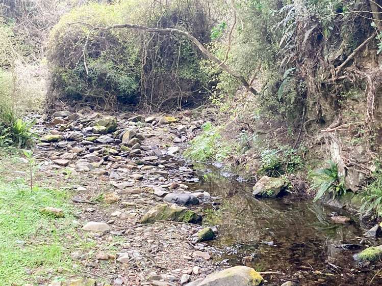 Duncan Road Hampden_7