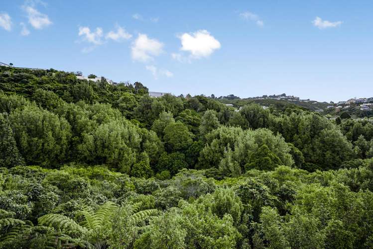 29 Pae Ariki Place Normandale_24