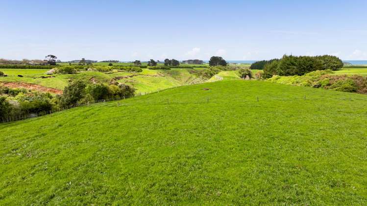 53 Muggeridge Road Manutahi_41