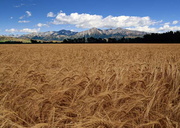 205 Barrs Road Sheffield_27