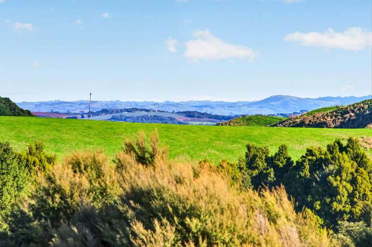 115 Sonja Drive Hunua_11
