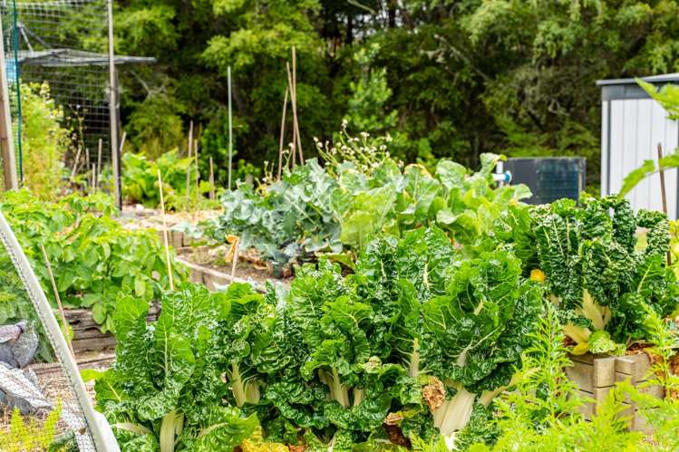 65 Brooke Lane Mangawhai_22