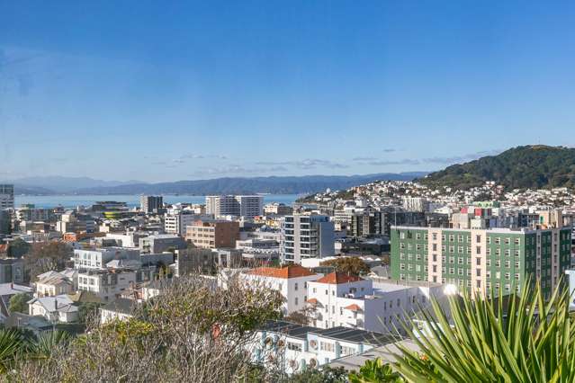 6 Maarama Crescent Aro Valley_2