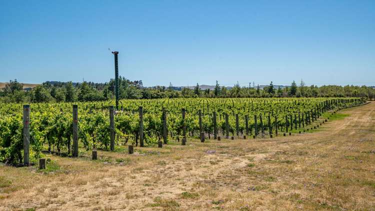 139 Mackenzies Road Waipara_16