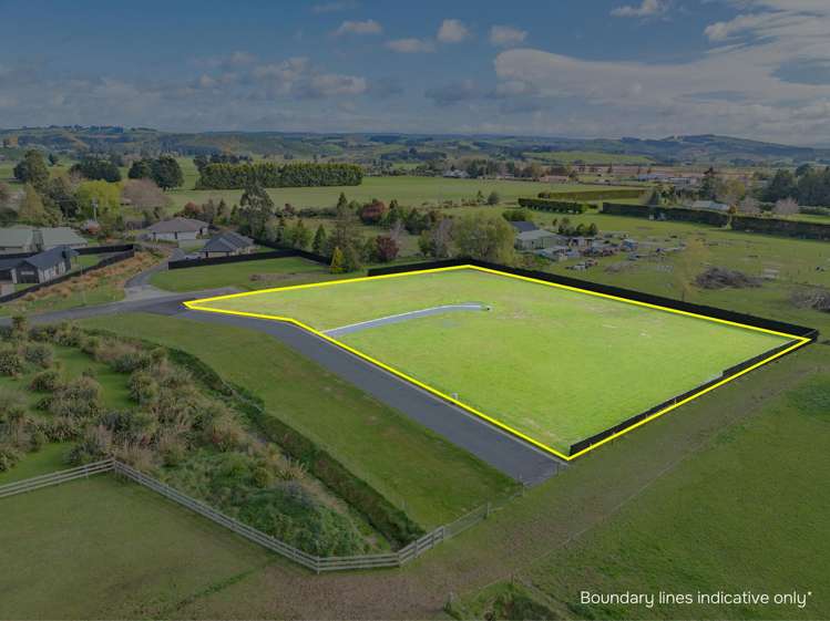 Constitution Avenue_1