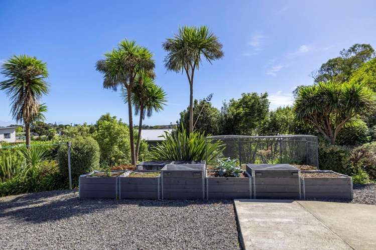 25 Manukau Road Raglan_20