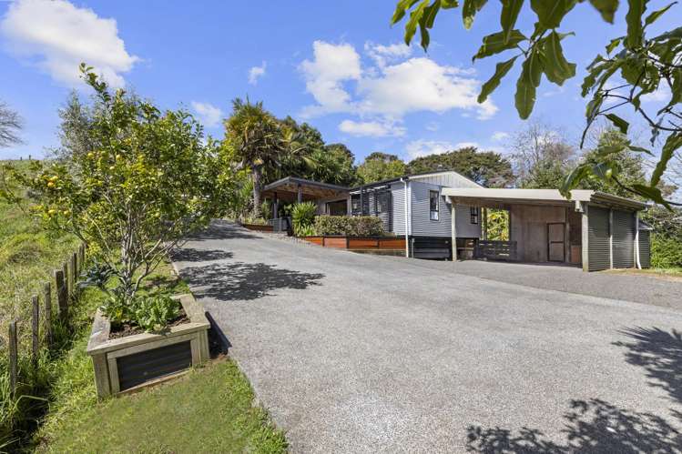 12C Primrose Street Raglan_35