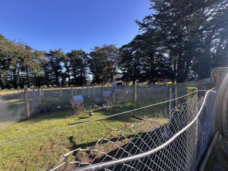 288 Garfield Road Norsewood_48