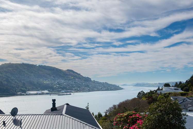 7 Dunrobin Street Waverley_23