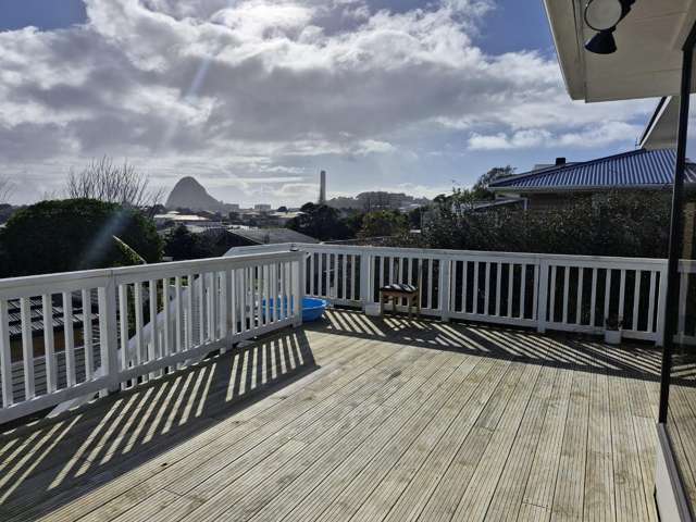 3 Mount View Place Spotswood_2