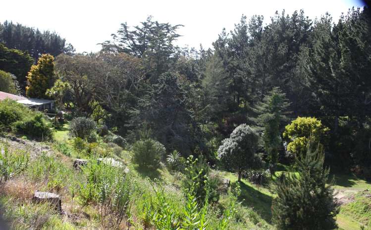 66 Palmer Road Foxton Beach_50