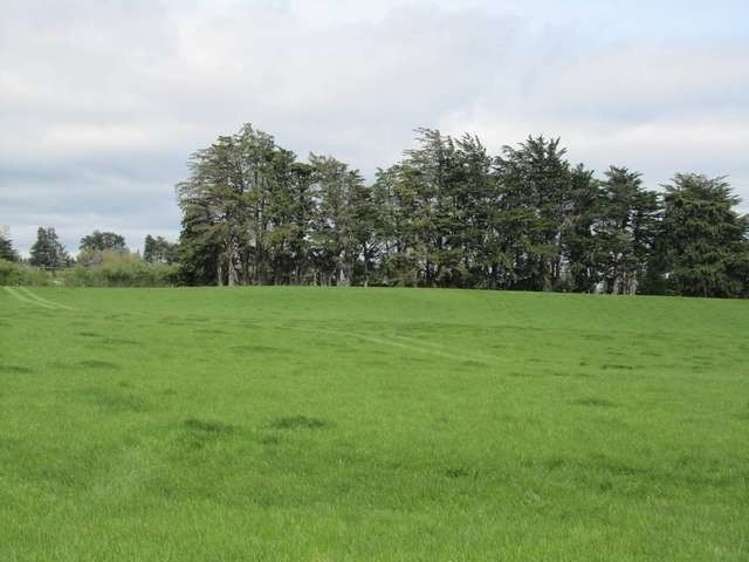 341 Hokonui School Road Winton Surrounds_6