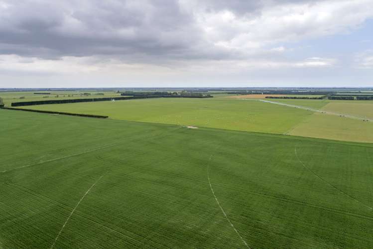 992 Wards Road Kirwee_2