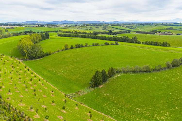 336 Spur Road Rosewill_19