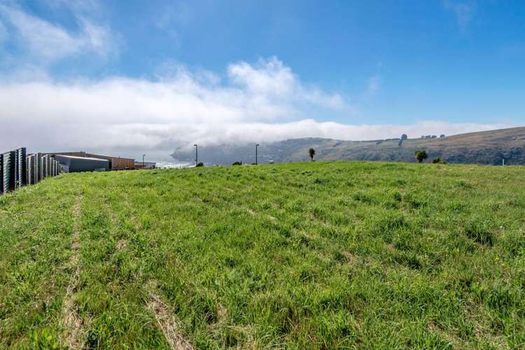 14 Teviotdale Way Richmond Hill_5