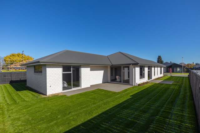 4 Spencer Place Springlands_4