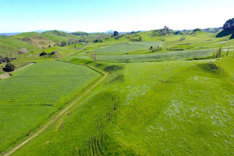 161 Veale Road Otorohanga_9