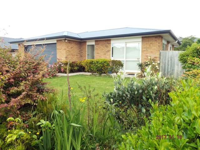 14 Martindale Lane Tuakau_1