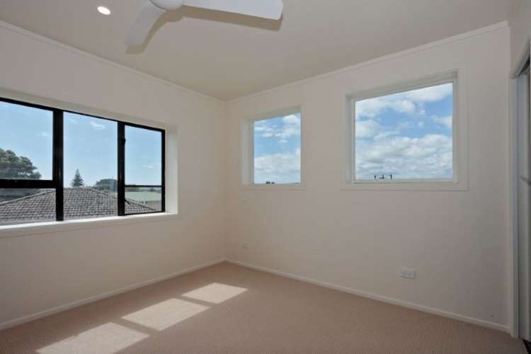 236b Waihi Road Judea_11