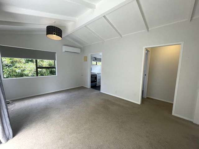 526A Mount Albert Road Mt Roskill_2