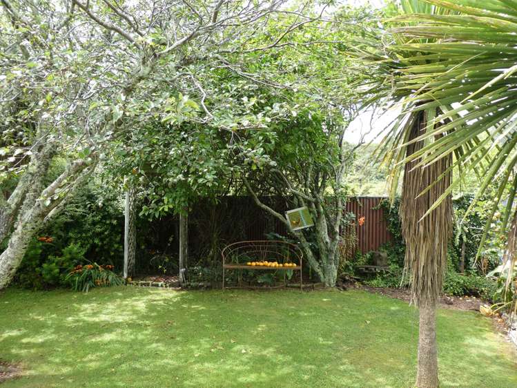 15 Greenfield Street Hector_14