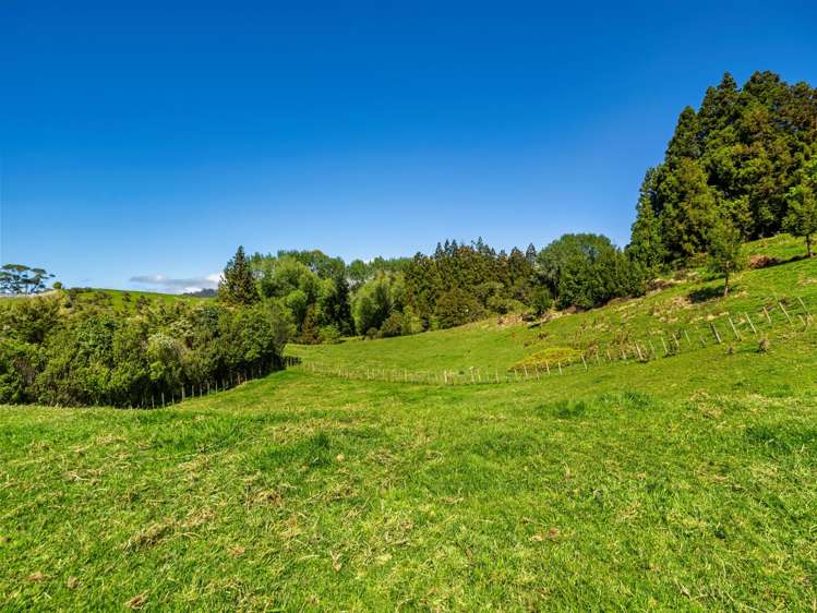 383 Busby Road Katikati_45