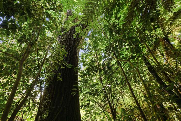 19 Beverley Crescent Hillcrest_23