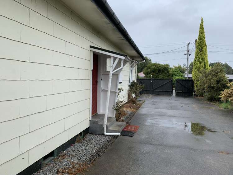 28 Hammond Street Bulls_10