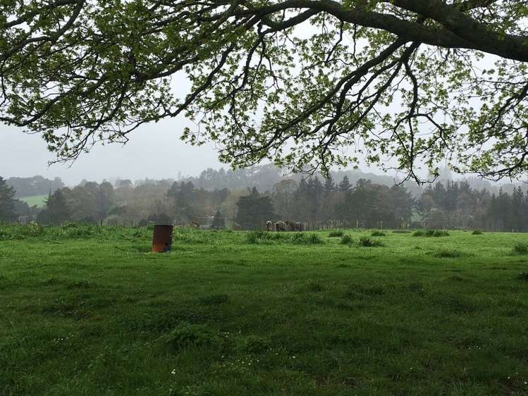 141 Parker Lane Buckland_16