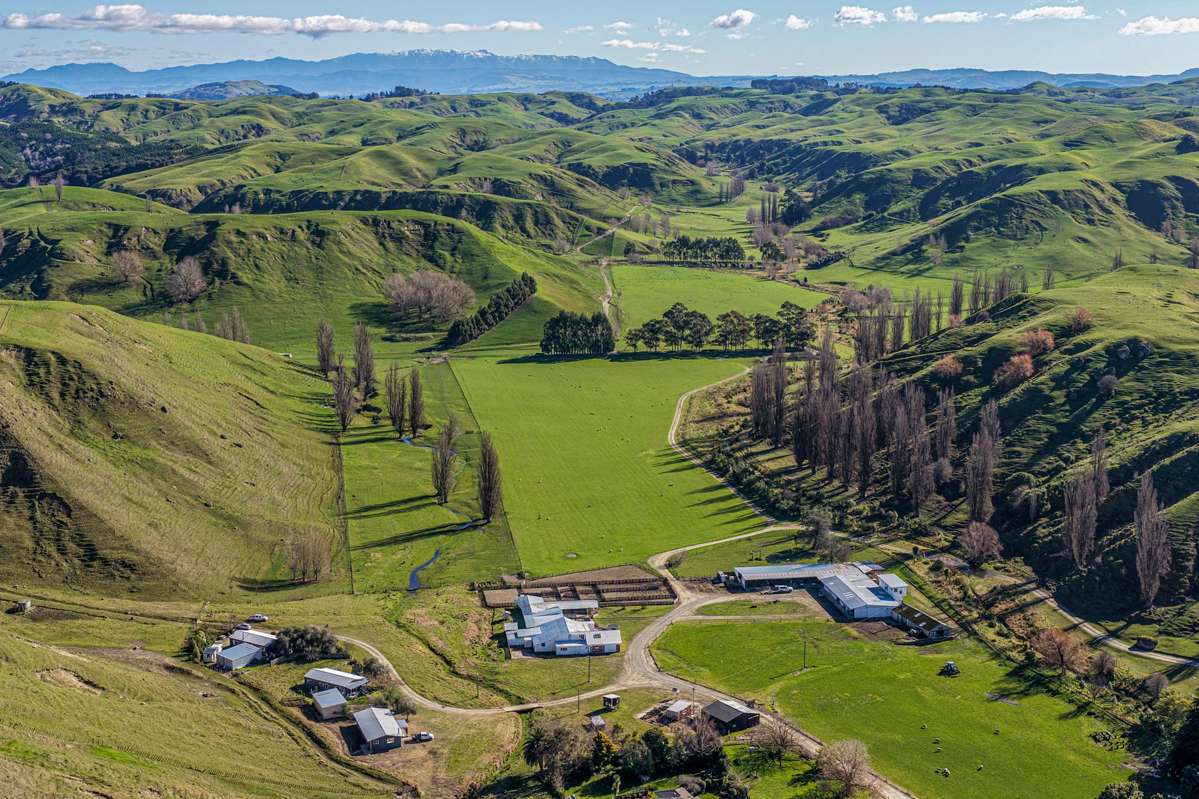 717k Puketitiri Road_0