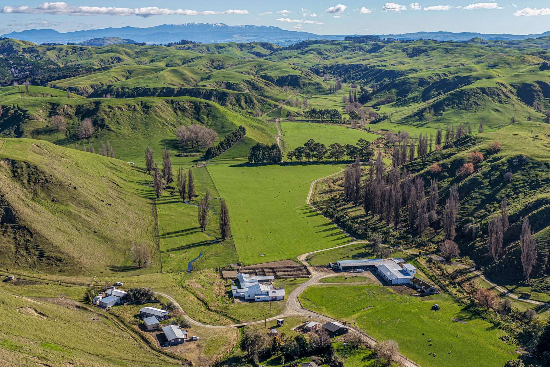 717k Puketitiri Road Puketapu_0