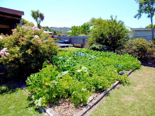 25 Motueka Street Nelson South_4