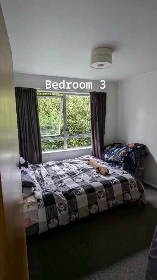 8 Stirling Street Te Aroha_3