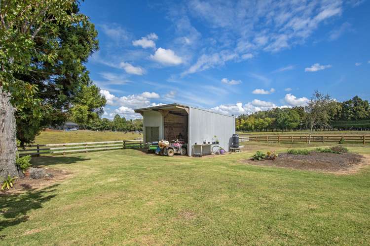 133 Apotu Road Kauri_19