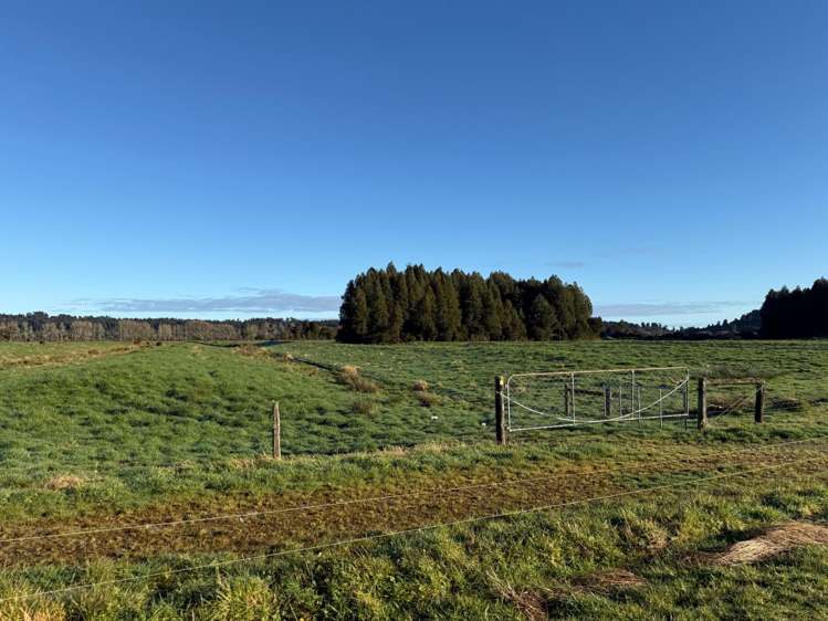 116-210 Waitaha Road Kakapotahi_17