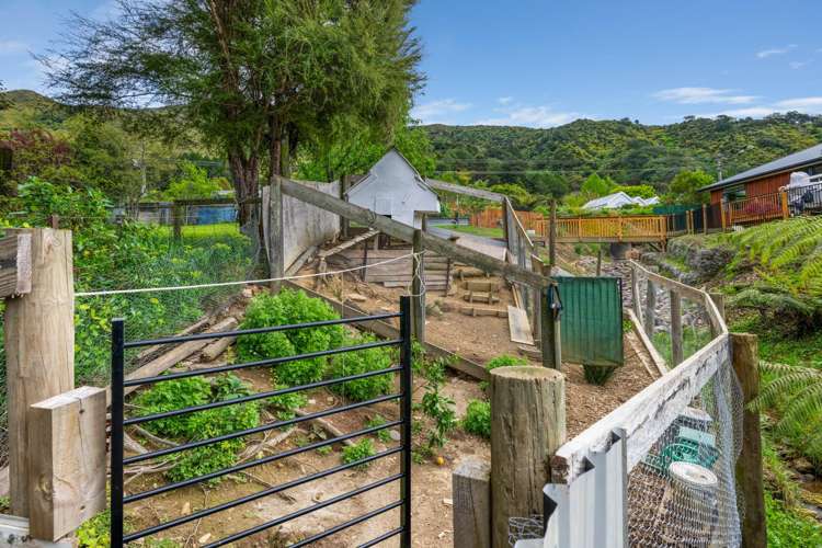 9 McLean Drive Havelock_35