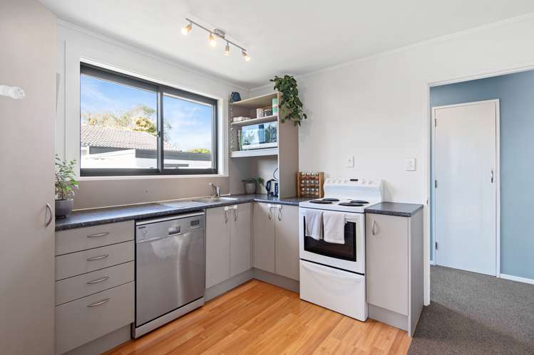 15 Jenkins Avenue Redwood_9