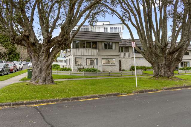 12a Brown Street Tauranga Central_1