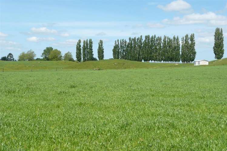 5 Overdale Road Putaruru_8