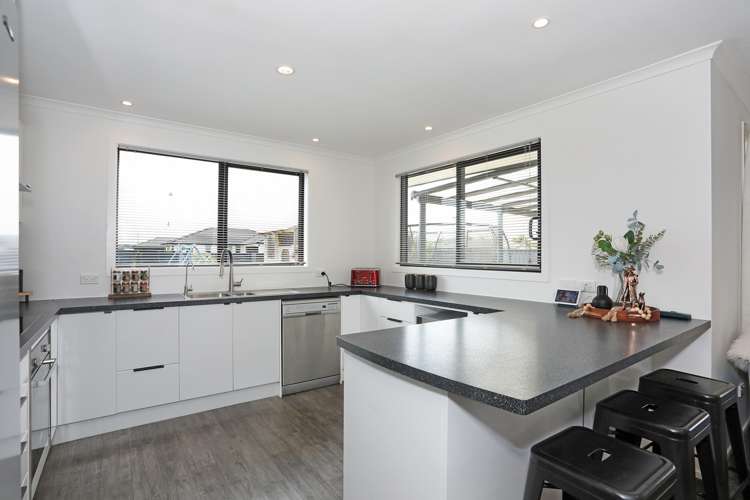 13 George Street Bulls_6