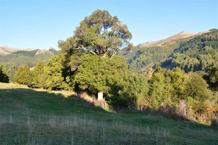 25 Lewthwaites Road Little River_12